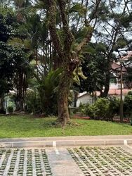 Blk 3 Toh Yi Gardens (Bukit Timah), HDB Executive #628449841
